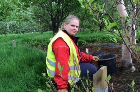 Sigrún Eva við störf í Yndisgarðinum í Fossvogsdal í Kópavogi sumarið 2014.