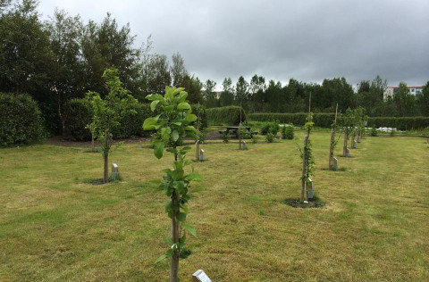 Yndisgarðurinn í Fossvogi.