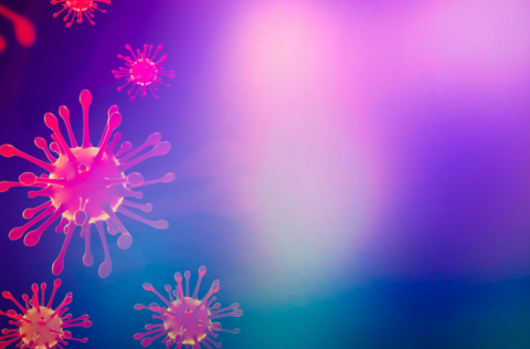 Restrictions are gradually lifted from 4th of May.