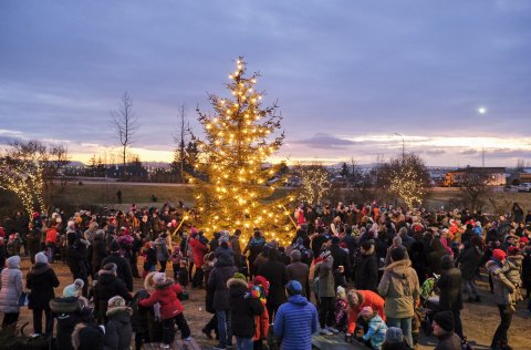 Hirðing jólatrjáa stendur yfir 7.-11.janúar.