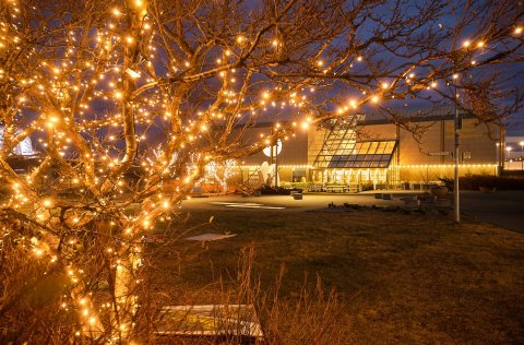 Jólaljós í Kópavogi