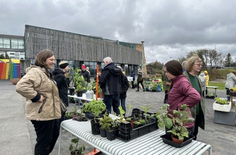 Árlegur plöntuskiptidagur Garðyrkjufélags Íslands fer fram 31. ágúst.