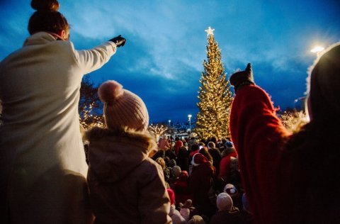 Tendrað á jólatrénu