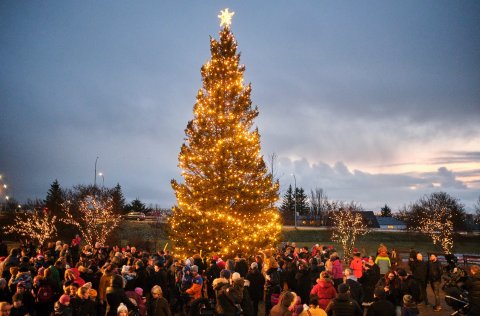 Kópavogsbær hirðir jólatré íbúa 7.-16.janúar.