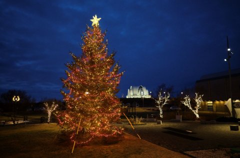 Jólatré Kópavogsbæjar 2021.