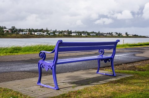 Fjólublár bekkur sem hefur verið settur upp á Kársnesi í tengslum við vitundarvakningu Alzheimer sa…