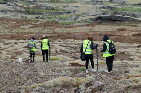 Birkisáning í Selfjalli.