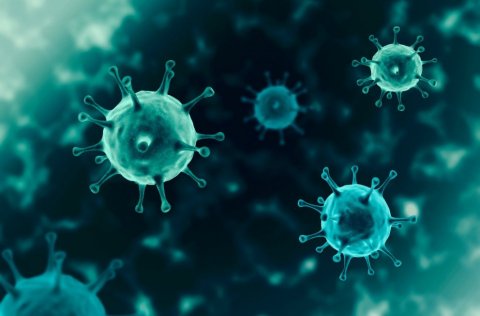 Breytingar á samkomutakmörkunum gilda 25. júlí til 13. ágúst.