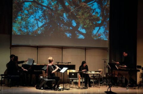 Frá tónleikum á Cycle listahátíðinni sem tilnefnd er til Íslensku tónlistarverðlaunanna sem tónlist…