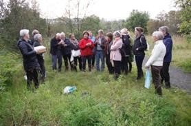 Fræsöfnun í Trjársafni