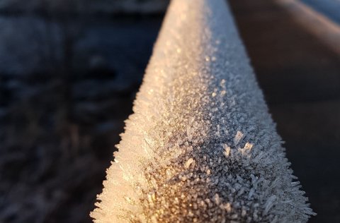 Veitur vara við kuldakasti.