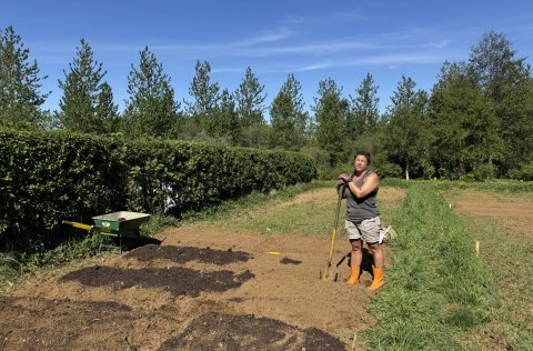 Rebeca er meðal leigjanda í garðlöndum neðan Kjarrhólma, annað árið í röð.