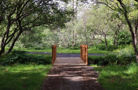 Hermannskógur er vestast í Fossvogssdal.