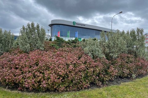 Hringtorg við Digrasnesveg er eitt af fjölmörgum hringtorgum bæjarins.