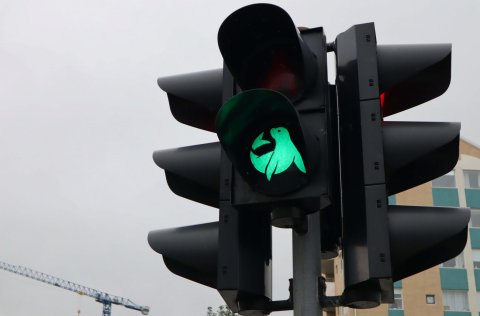 Á Fífuhvammsvegi ofan Dalsmára má finna þessi skemmtilegu gangbrautarljós.