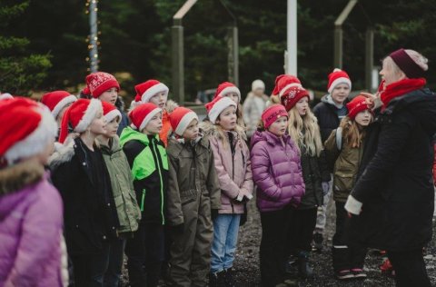 Úr jólalundinum í Guðmundarlundi.