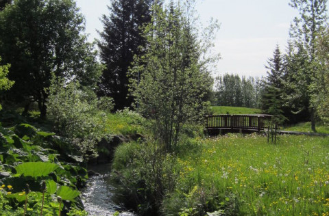 Kópavogsdalur að sumarlagi.