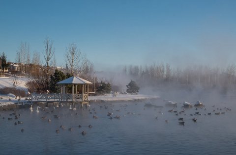 Engin brenna verður í Kópavogsdal áramótin í ár.