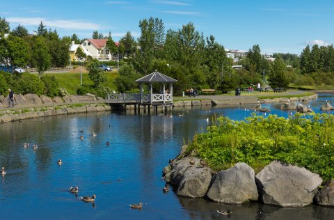 Kópavogstjörn
