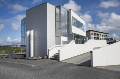 Molinn í Kópavogi.