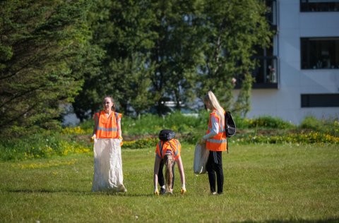 Frá plokkdegi Vinnuskólans árið 2019.
