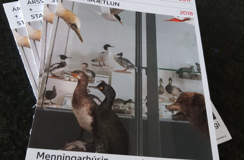 Ársskýrlsa menningarhúsanna 2017