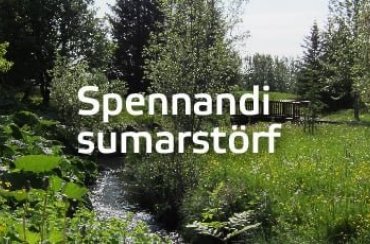 Sumarstörf