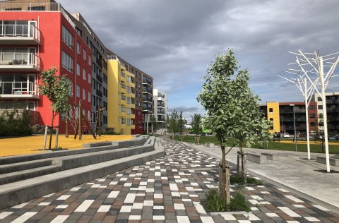 Álalind var gata ársins 2022.