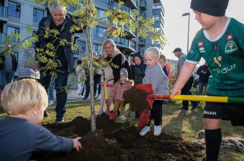 Yngstu íbúar í Álalind veittu öflugt liðsinni í gróðursetningu trés í götunni. Sigrún Hulda Jónsdót…
