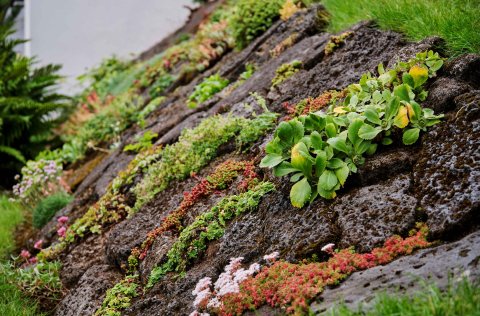 Frá Grænutungu 7 sem fékk viðurkenningu fyrir umhirðu húss og lóðar 2023.