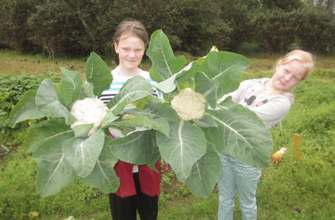 Skólagarðar Kópavogs