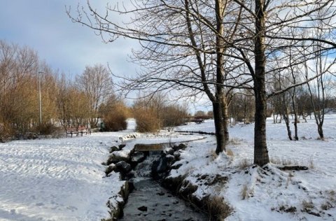 Fjölbreytt dagskrá er í vetrarfríi grunnskólanna í menningarhúsum Kópavogs.