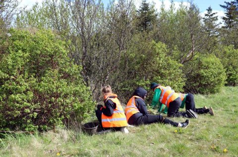 Sumarboðinn ljúfi, Vinnuskóli Kópavogs.