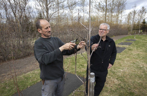 Frá fræðsludegi í Trjásafninu í Fossvogi 2016.